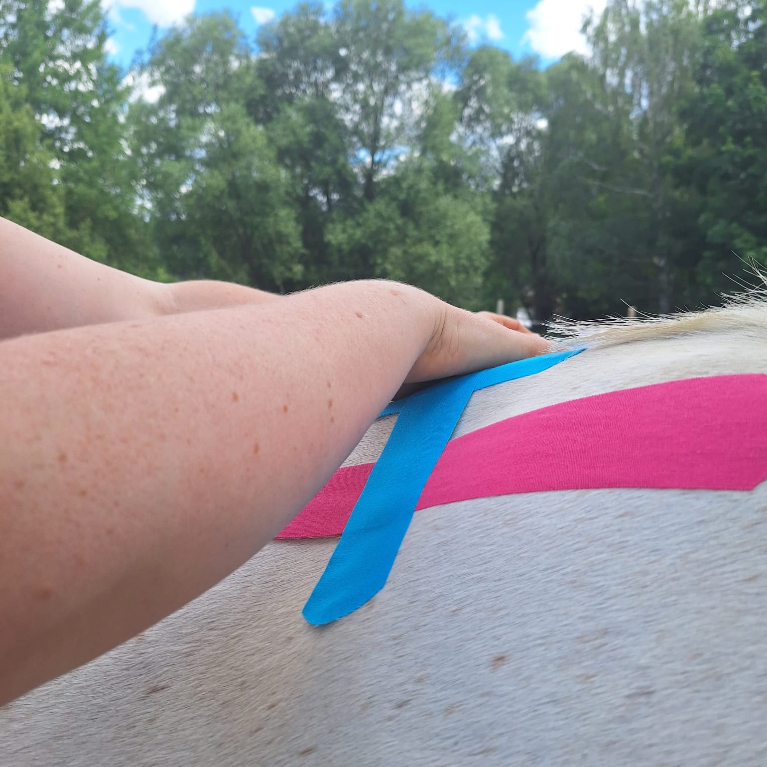 Lungentherapie